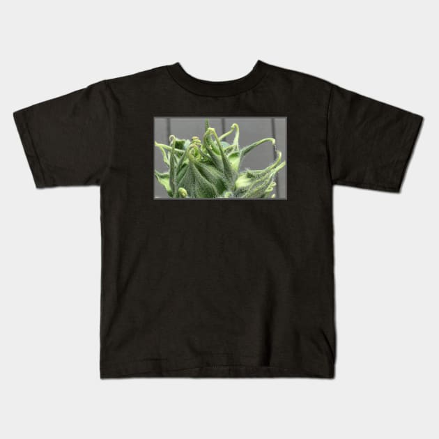 Tendrils Kids T-Shirt by ErinBrieArt